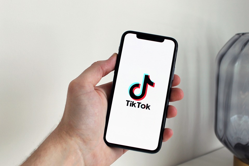 tiktok followers